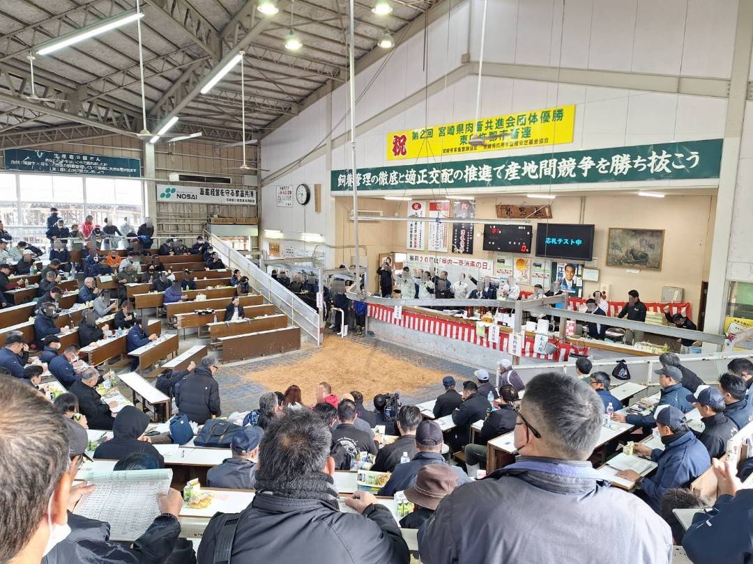 2026年1月東臼杵家畜市場